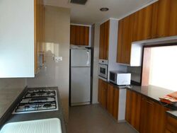 Valley Park (D10), Condominium #498099771